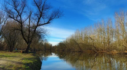 В Туркестанской области спасатели вытащили тонущего ребенка из канала