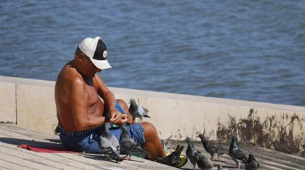 Кормить птиц - под запретом: казахстанцам грозит штраф до 100 тысяч тенге