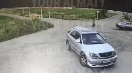 Алматы облысында баланы көлікпен қағып кеткен экс-полицей ұсталды