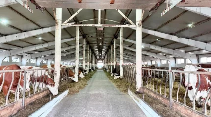 Енді шаруалар үшін жеңілдікпен несие беріледі