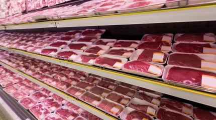 Елде ет экспортын жылына 50 мың тоннаға дейін ұлғайту көзделген