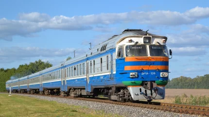 В Карагандинской области пассажирский поезд совершил экстренное торможение