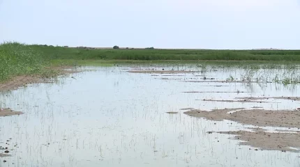 Бір мамандықты емес, бір мақсатты серік еткен отбасы
