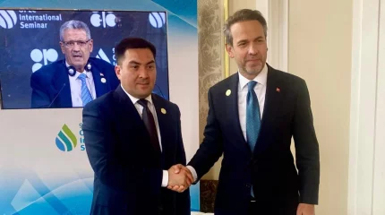 Казахстан и ОАЭ обсудили реализацию крупнейшего ветропарка в Центральной Азии