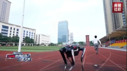 Қытайдың робот иті жүгіруден әлемдік рекорд орнатты