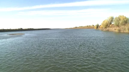 Атырау облысында 18 жасар қыз суицид жасады