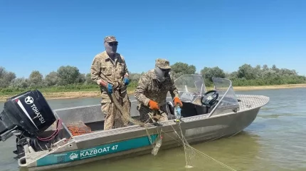 Атырауда жарты жылда заңсыз балық аулағандарға 4 млн теңге айыппұл салынды