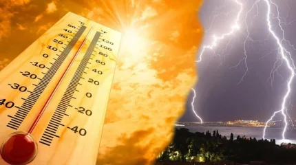 МЧС обратилось к казахстанцам из-за чрезвычайной пожарной опасности