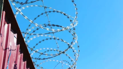 Абай облысында есептегі сотталған тәртіп бұзғаны үшін жауапқа тартылды