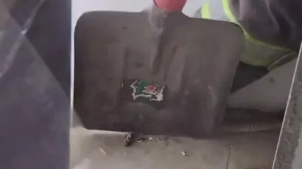 Змея переполошила посетителей продуктового магазина в Кентау