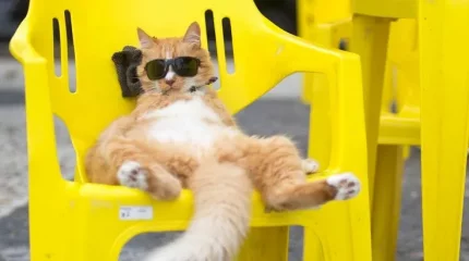 Жарко, очень жарко и гроза: прогноз погоды на три дня в Казахстане