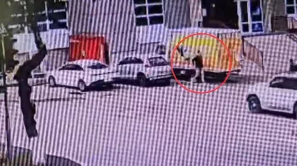 Астанада ер адам мас күйде телефон ұрлаған