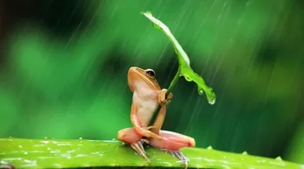 Дожди обрушатся на Астану и Алматы: погода в мегаполисах во вторник, 15 июля