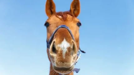 Похолодание идёт в Казахстан