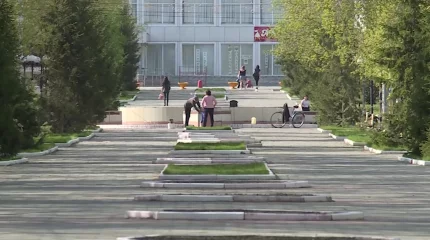 Зарезал жену и тещу: двойное убийство произошло в Костанайской области