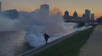 Гнус в Астане травят в две смены и с дронов