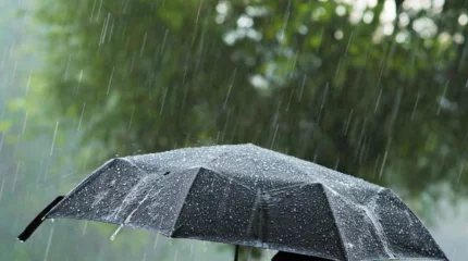 Бүгін күн күркіреп, жаңбыр жауады