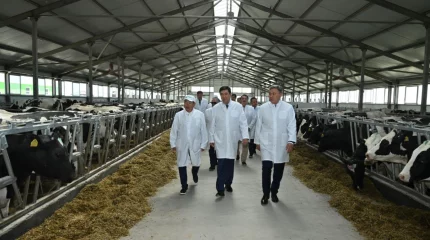 Потребность в специалистах рабочих профессий превышает 40%, - Ерлан Кошанов