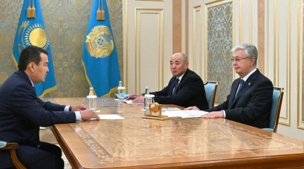 Токаев принял председателя ВАП Алихана Смаилова