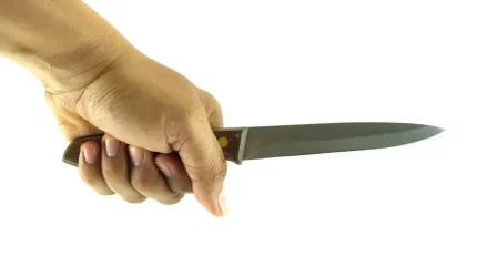 Қостанай облысында әйел қыздың ішіне пышақ сұғып алды