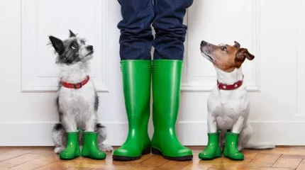 Сильные дожди обрушатся в выходные на север, центр и восток Казахстана