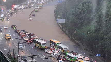 Оңтүстік Кореяда үш күн қатарынан жауған нөсер жауын салдарынан 4 адам мерт болды