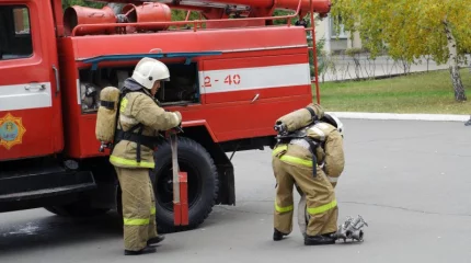 ТЖМ қызметкерлері жеке үй мен автокөлікті өрттен қорғады