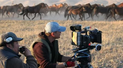 Казахстан по производству фильмов поднялся с 60 на 31 место в мире