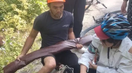 Туристка из Китая пострадала на БАО