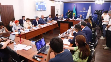 Үкімет арнаулы салық режимін пайдалану тәртібін түсіндіруді бастады