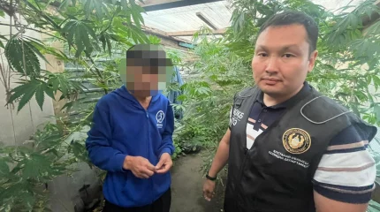 Оружие в доме и марихуану в огороде нашли у сельчанина в Костанайской области