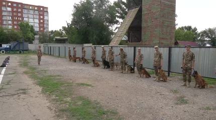 Оралда қызметтік іздестіру иттерінің жарысы өткізілді