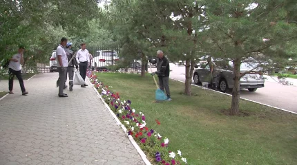 Партия "AMANAT" провела очередную экологическую акцию