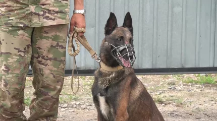 В Уральске определяют лучших служебно-розыскных собак