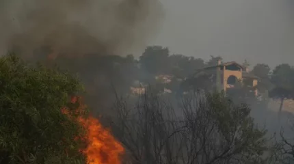 Кипрдегі орман өрті 124 шаршы шақырым аумақты шарпыды