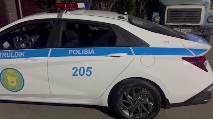 Алматинка родила ребенка в патрульной машине