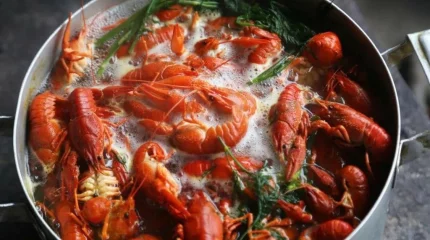Варить живых раков и крабов запретят в Италии