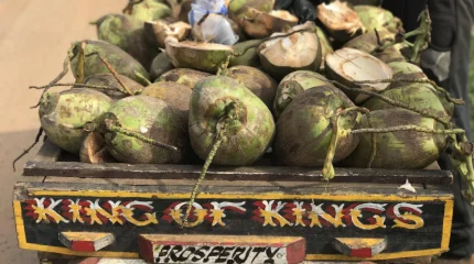 Британский истребитель отремонтировали у кокосового ларька в Индии