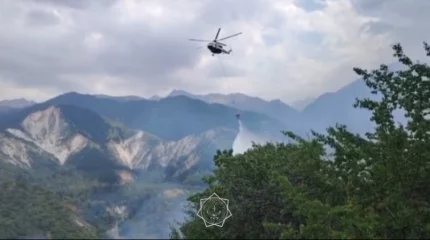 Пожар на дачах в Алматинской области тушат с вертолёта