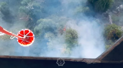 Жетісу облысында таулы аумақтағы өртті сөндіру жұмыстары жалғасуда