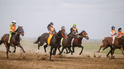 Елде балаларға бокс және ат спортымен айналысуға тыйым салынады
