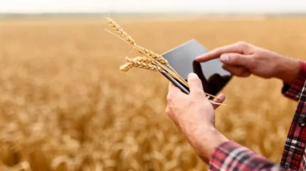 Сусбидия алған фермерлер енді не өнімді аттыруы, не жұмыс орнын ашуы керек