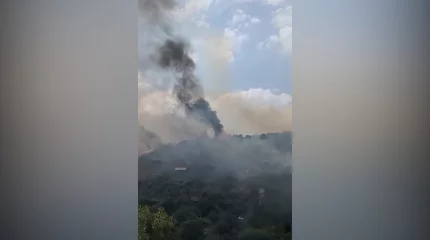 Дачные дома уничтожил масштабный пожар в Алматинской области