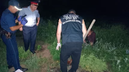 Сельчанин выращивал каннабис у себя в огороде в Костанайской области