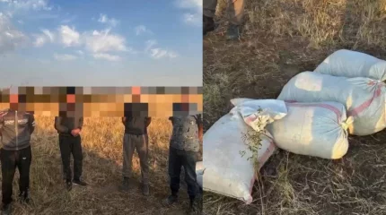 Жамбыл облысында көлік сақшылары бір топ адамнан алты қап марихуана тәркіледі