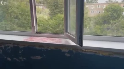 В полиции заявили о заболевании женщины, выбросившей детей с пятого этажа