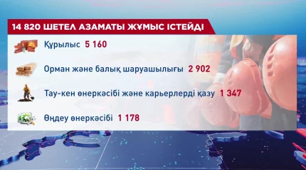 Қазақстанда 14 820  шетел азаматы жұмыс істейді