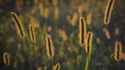 Карагандинец заблудился ночью в камышах