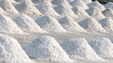 «Аралтуз» выплатит 5 млн тенге работнице, ставшей инвалидом после смены