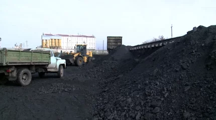 Қызылжарда көмір қымбаттады